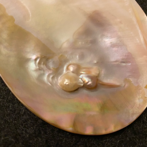 Mother of Pearl natural sea shell necklace and matching earrings set - Picture 9 of 13